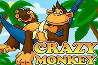 Crazy Monkey Slot